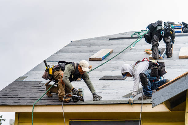 Professional Roofing technician working in Camden, IL